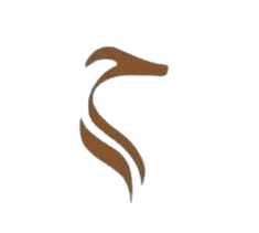 whatsapp image 2025 11 16 at 21.25.23 3c6ccba7 removebg preview (1)